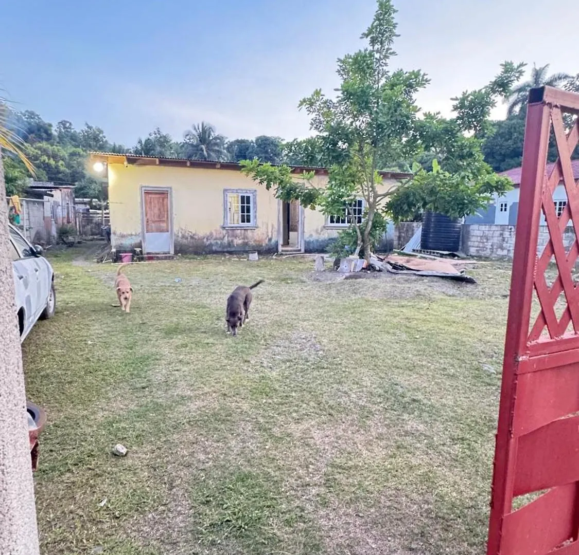 East Palm Estate Hostel Port Antonio
